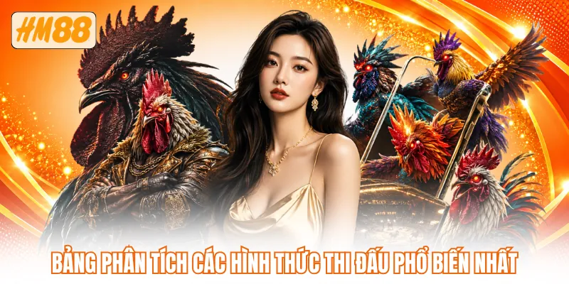 Bảng phân tích các hình thức thi đấu phổ biến nhất