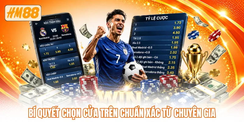 Bí quyết chọn cửa trên chuẩn xác từ chuyên gia