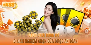 Cách chơi rồng hổ - 3 kinh nghiệm chọn cửa cược an toàn