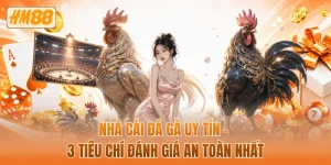 Nhà cái đá gà uy tín - 3 tiêu chí đánh giá an toàn nhất