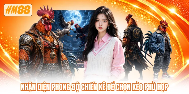 Nhận diện phong độ chiến kê để chọn kèo phù hợp
