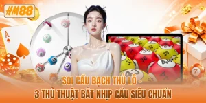 Soi cầu bạch thủ lô - 3 thủ thuật bắt nhịp cầu siêu chuẩn