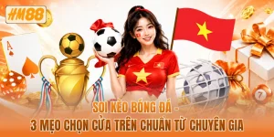 Soi kèo bóng đá - 3 mẹo chọn cửa trên chuẩn từ chuyên gia